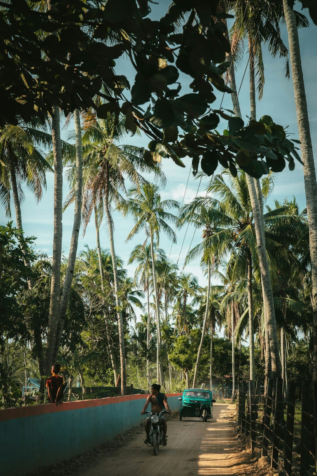 A narrow concrete lane running under very tall coconut palms in Palawan, a rider on a motorbike coming toward the camera and a green tricycle parked ahead