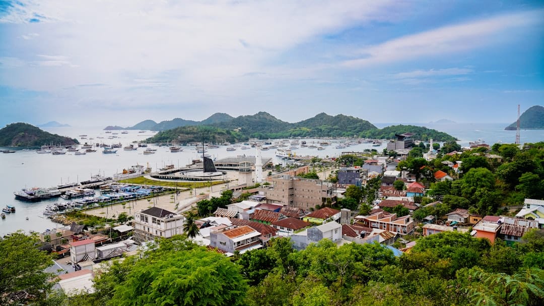 Labuan Bajo in Indonesia seen from the hill above it, red and white roofs running down to a bay crowded with moored boats