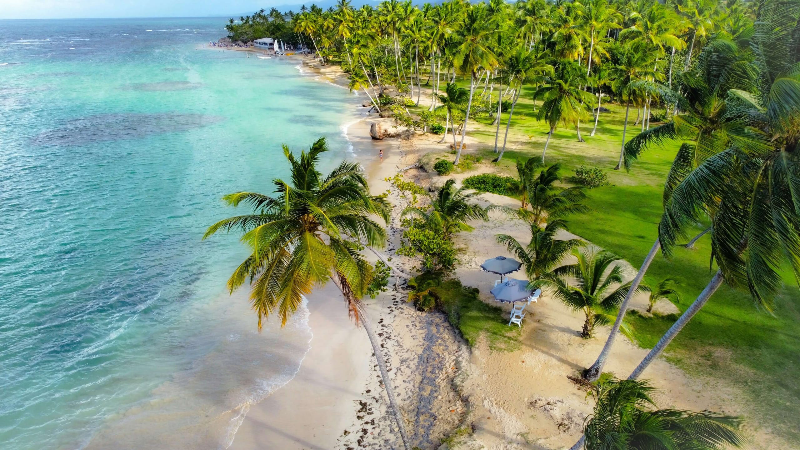 A palm-lined beach seen from above, turquoise shallows meeting white sand, a single figure walking the waterline and two blue umbrellas set back under the trees