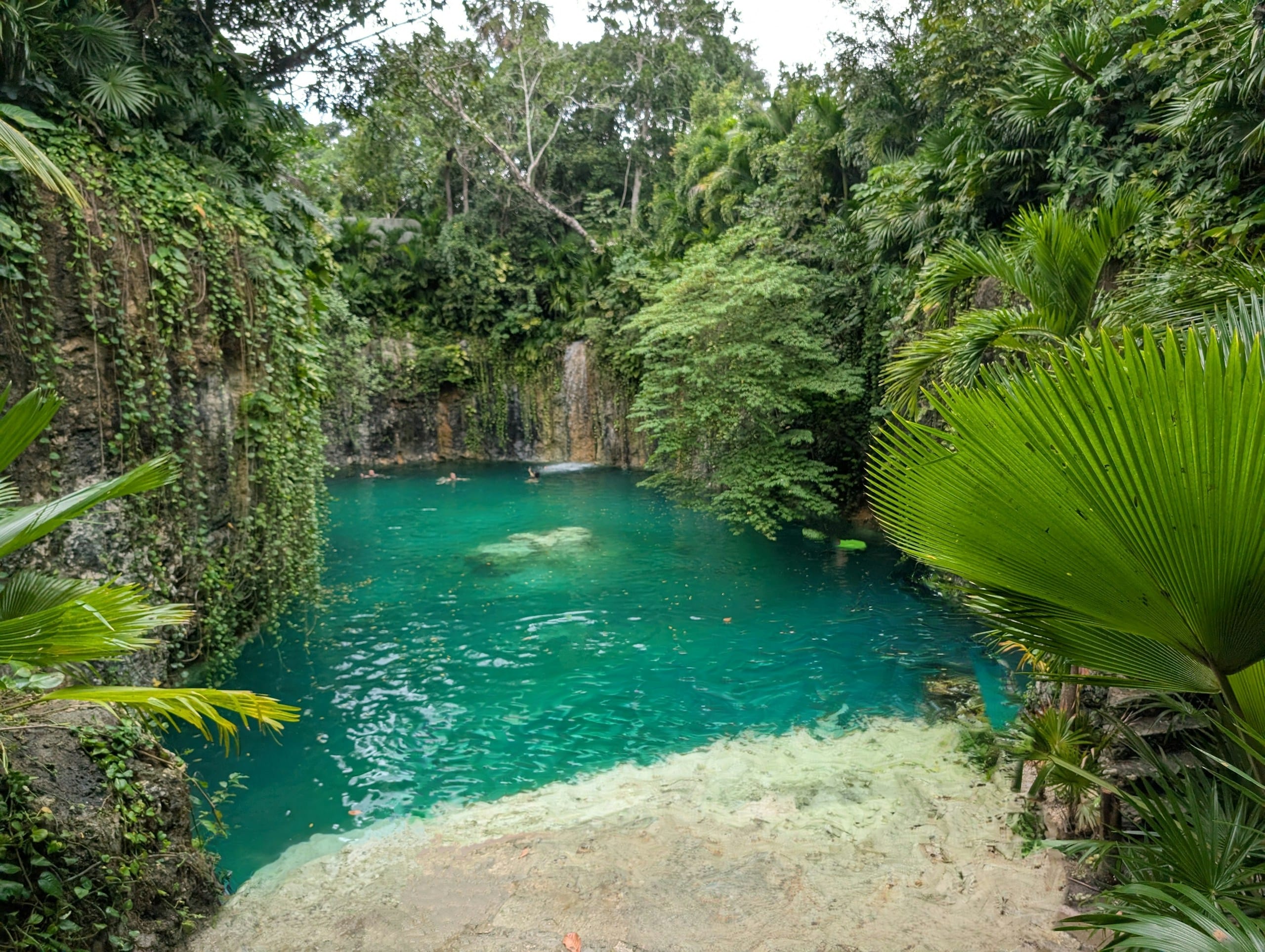 An open cenote near Tulum, turquoise water below vine-covered limestone walls
