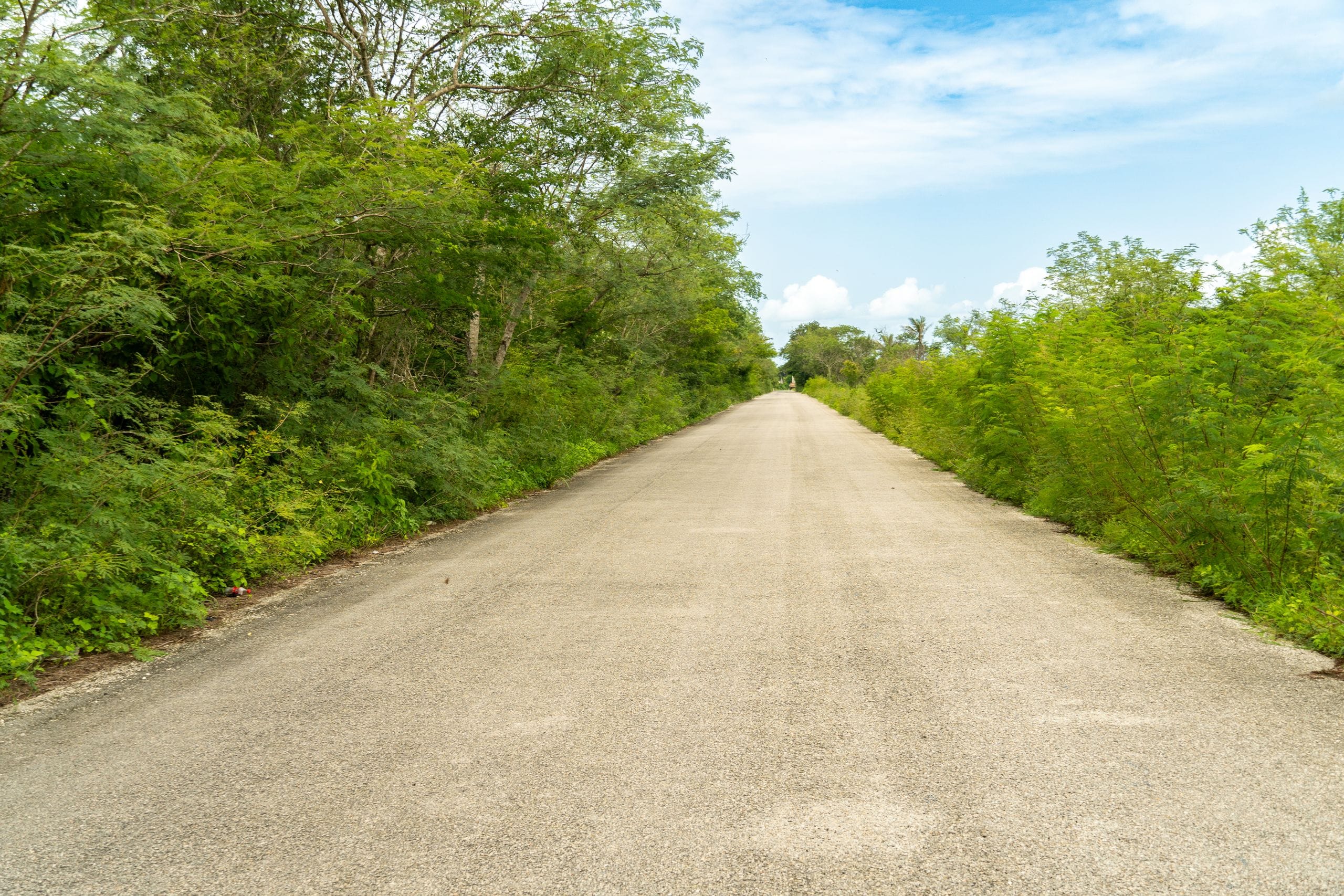 Straight asphalt road running through low green Yucatan scrub under scattered clouds