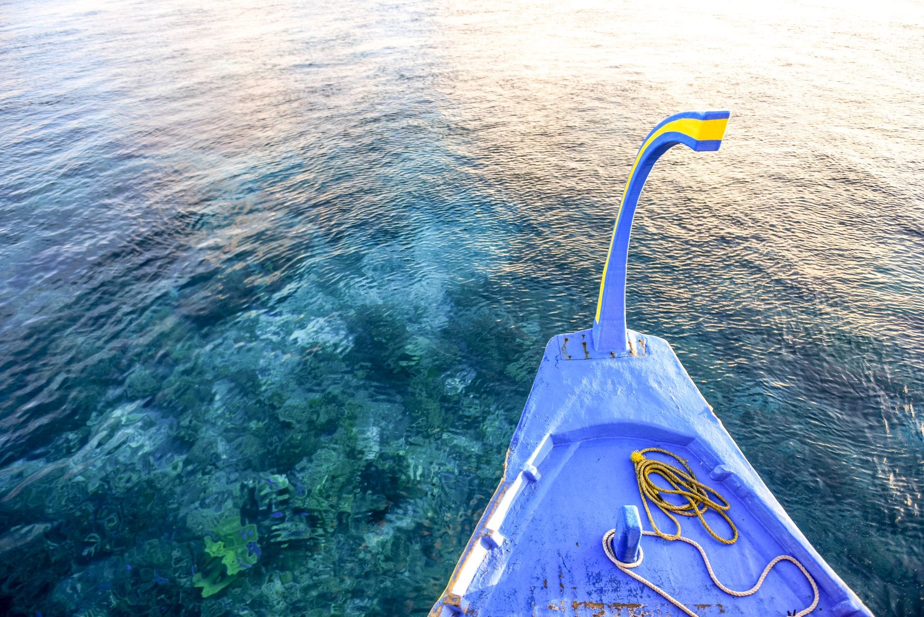 The blue and yellow bow of a small boat crossing clear water with coral visible below