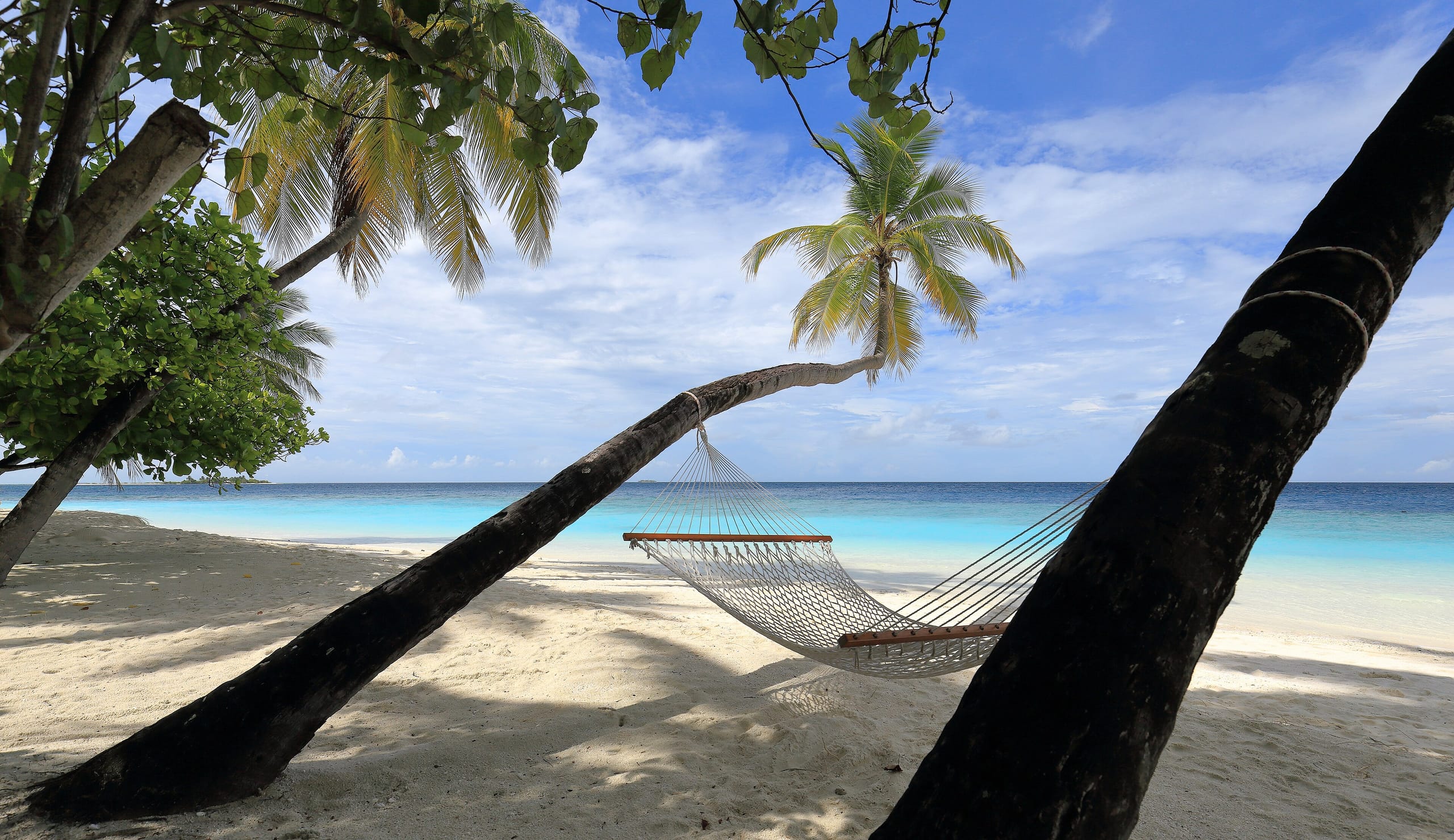 A hammock slung between two leaning palms on the beach at Thudufushi, Ari Atoll