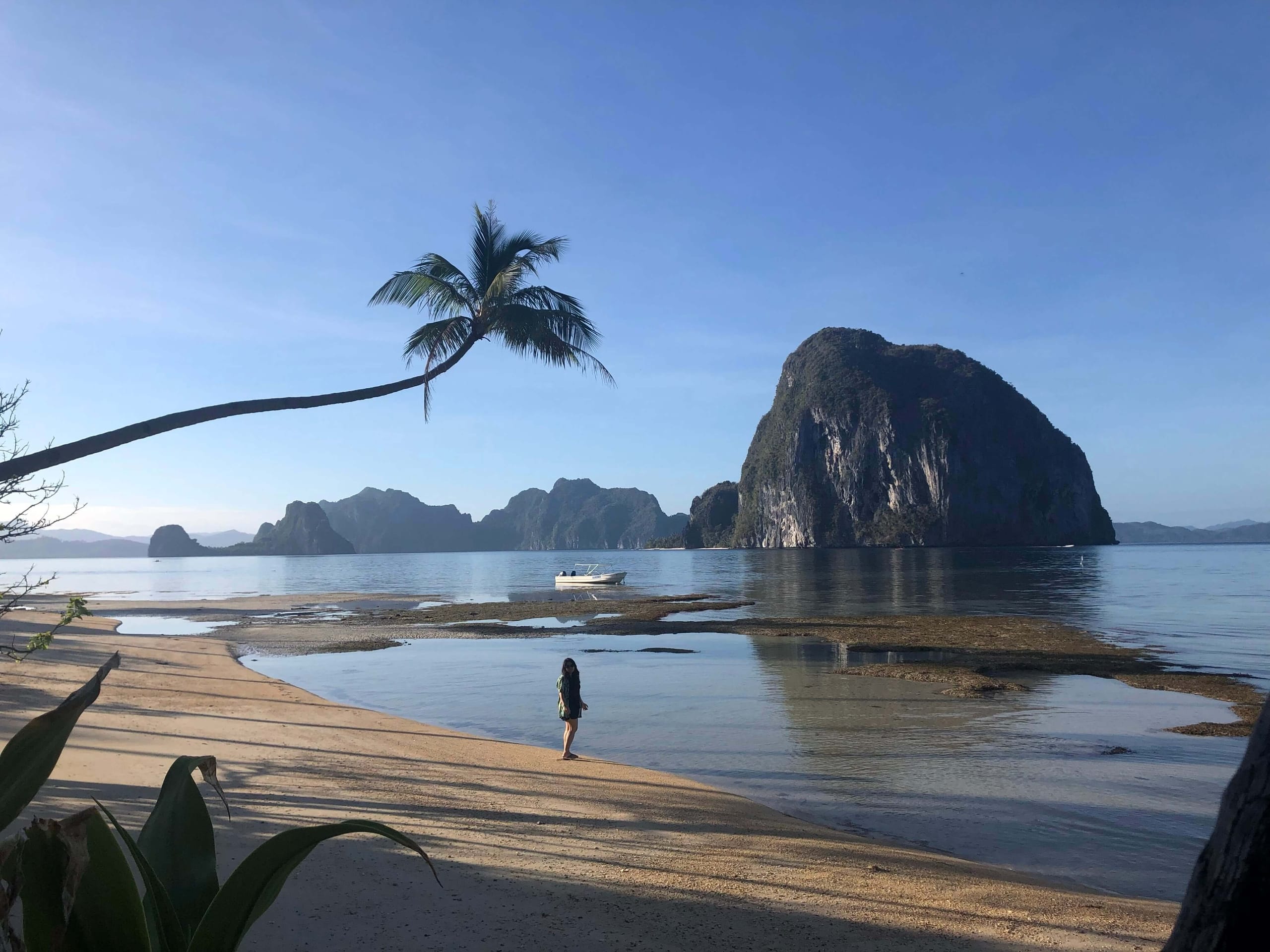 A leaning palm over the tidal flat at Las Cabanas Beach, one person walking out and a limestone island offshore
