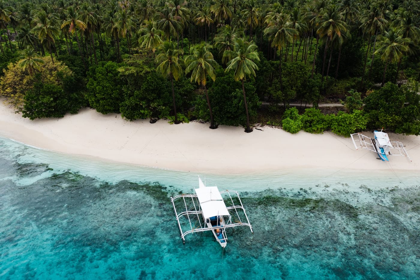 An outrigger boat with bamboo arms on both sides, floating over turquoise shallows beside a palm-lined beach