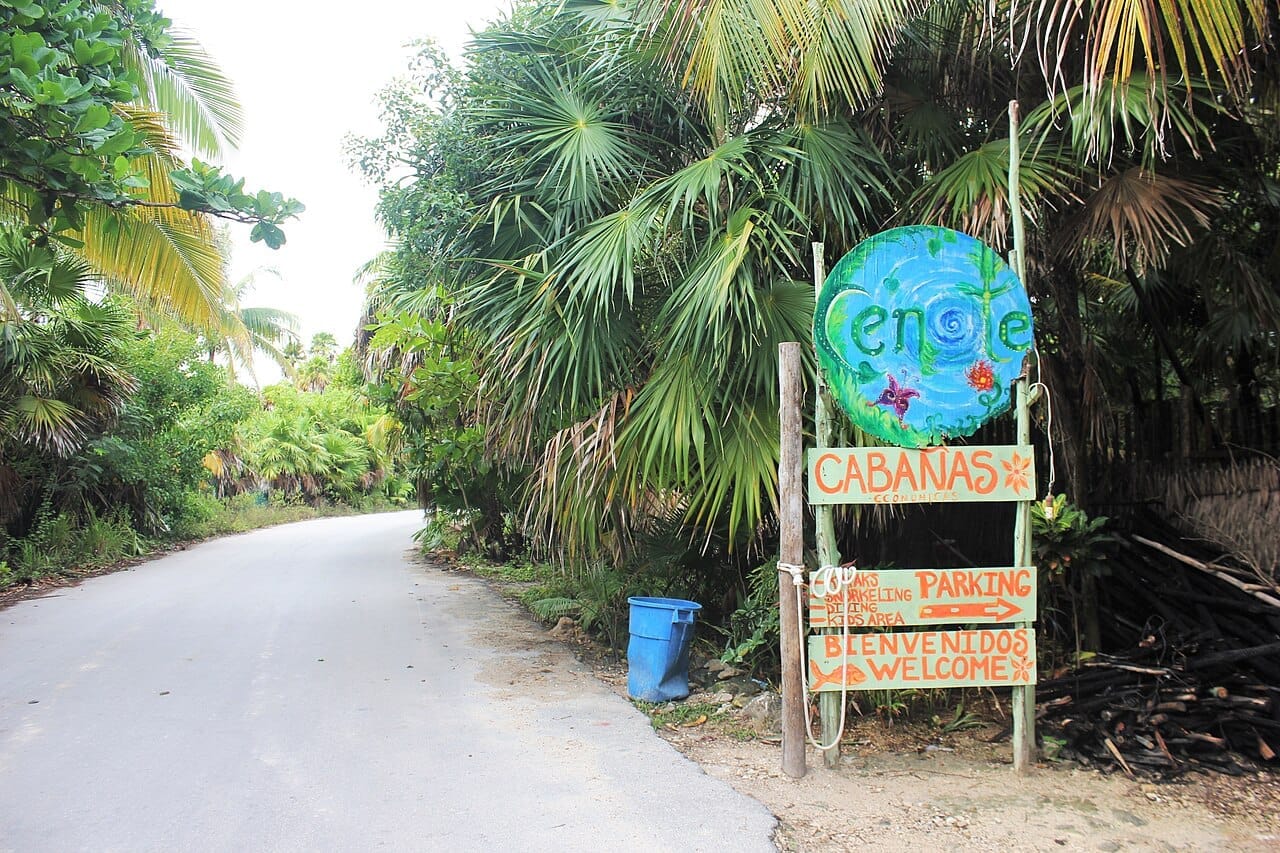 A hand-painted cenote sign on a post at the edge of a white gravel road running into jungle