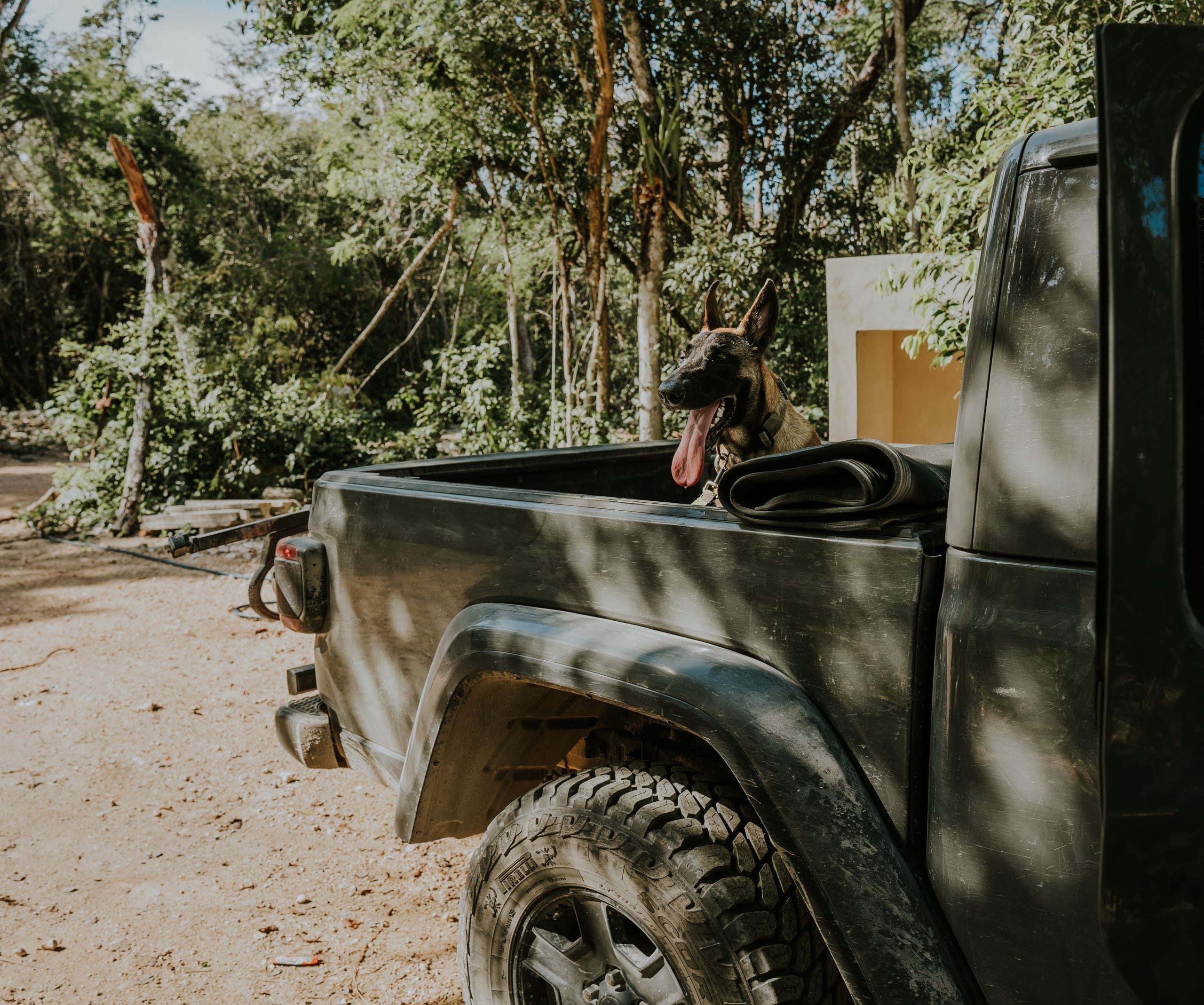 The tailgate of a mud spattered pickup parked on a sand track under trees